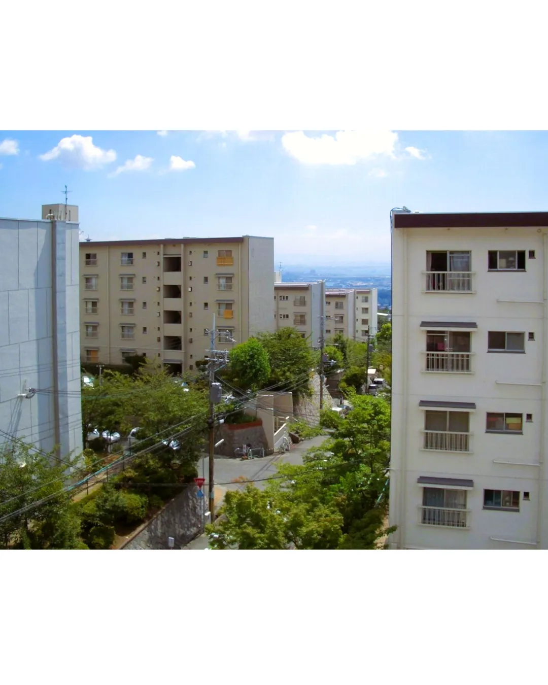 🏢✨リフォームでお住まいを新たに甦らせませんか?古き良き団地...