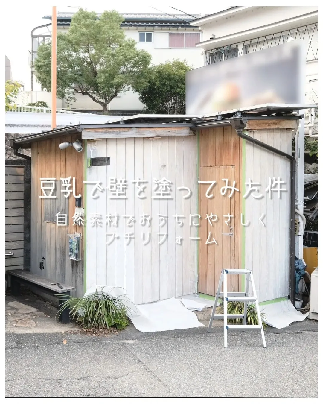 豆乳で壁を塗ってみた件