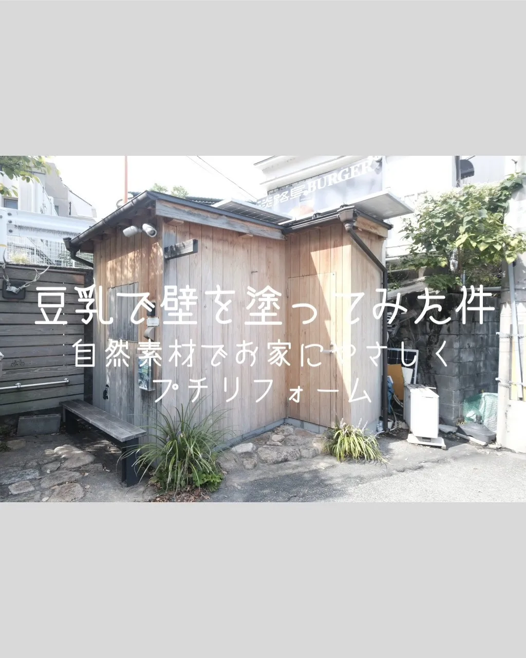 豆乳で壁を塗ってみた件