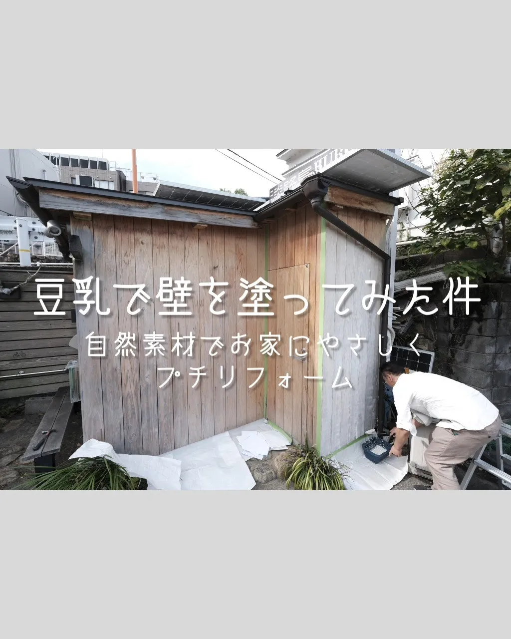 豆乳で壁を塗ってみた件